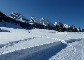 Skitour Frümseltal
